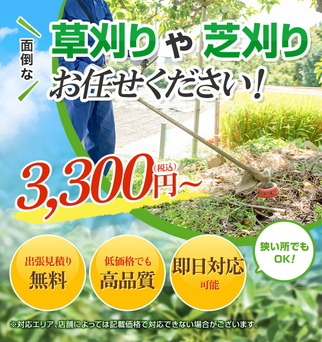 お庭の草刈り・除草と費用について｜草刈り・芝刈り｜お庭の手入れ
