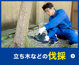 立ち木などの伐採