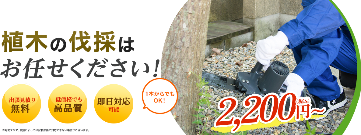 植木の伐採はお任せください！