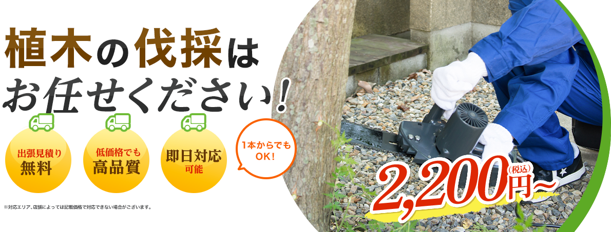 植木の伐採はお任せください！