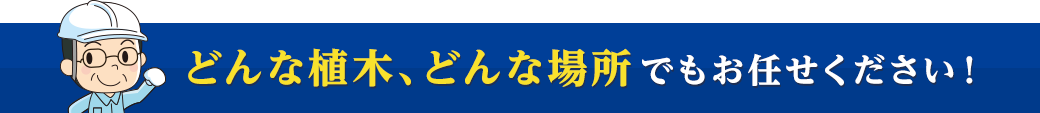 どんな植木、どんな場所でもお任せください！