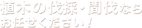 植木の剪定・お手入れならお任せください！