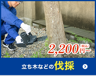 立ち木などの伐採