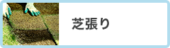 芝張り