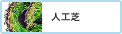 人工芝