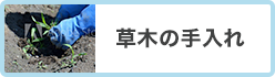 草木の手入れ