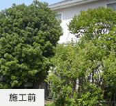施工前