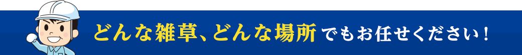 どんな雑草、どんな場所でもお任せください！
