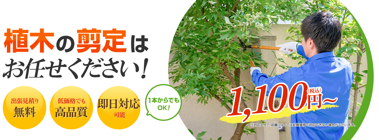 植木の剪定はお任せください！