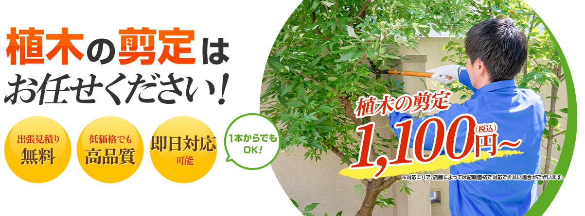 植木の剪定はお任せください！