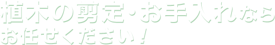 植木の剪定・お手入れならお任せください！